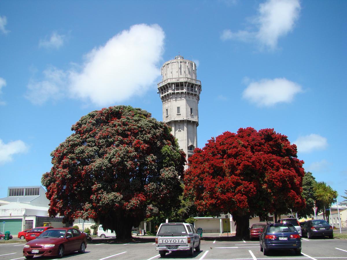 Kiwi Court Motel Hawera Exterior foto